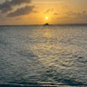 Meet your Posher, Claire